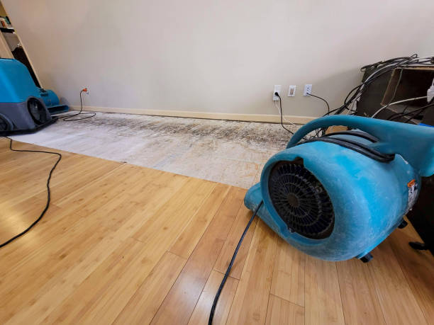 Professional Basement Flood Cleanup technician working in Brackenridge, PA